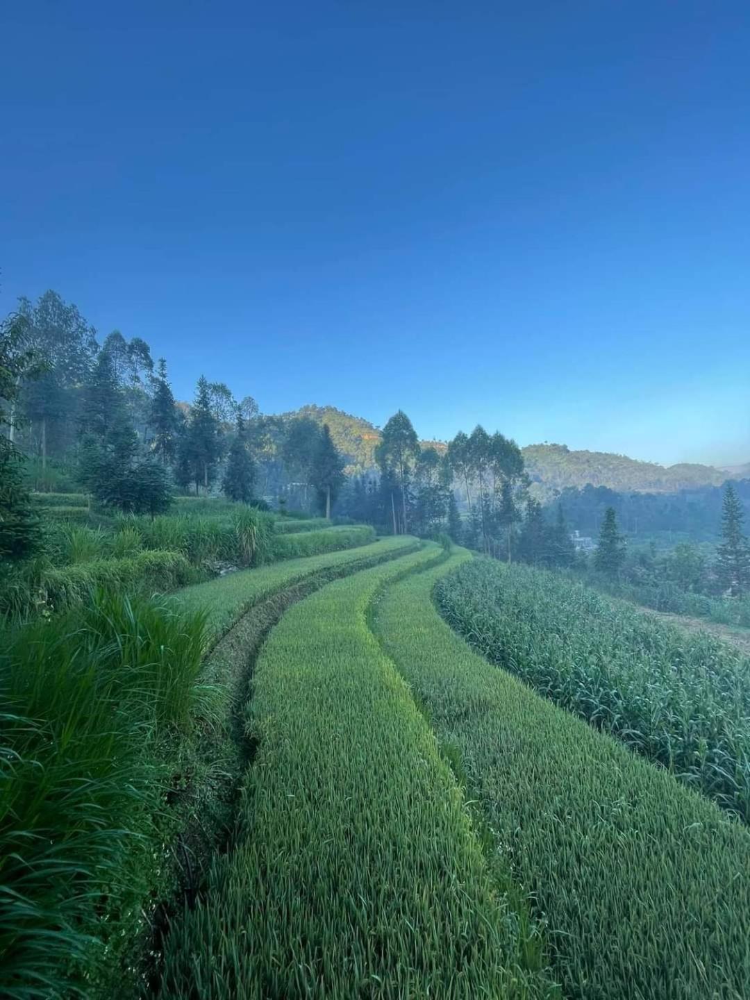 Dong Van Hmong Homestay Exterior foto